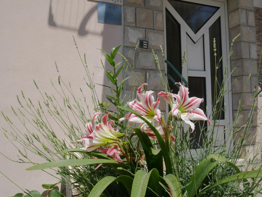 Guest House Almond Bečići Ngoại thất bức ảnh